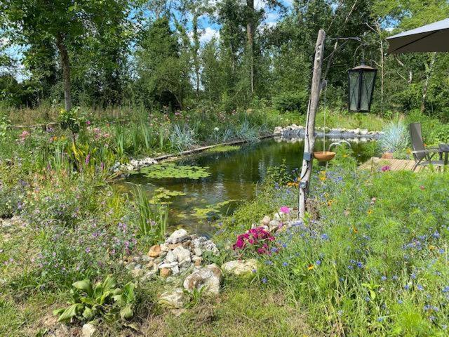Le Moulin Scalagrand Bed & Breakfast Mazieres  Exterior photo